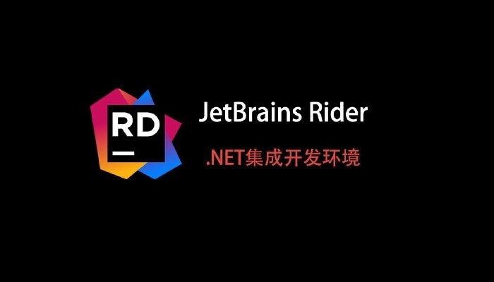 jetbrains rider 2025电脑版截图2