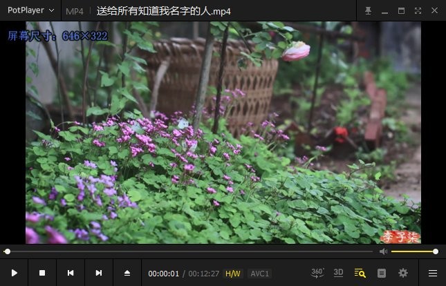 PureCodec完美解码播放器截图2