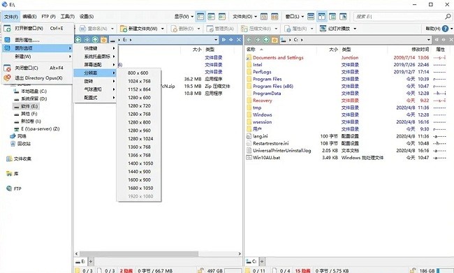 Directory Opus文件管理器截图1