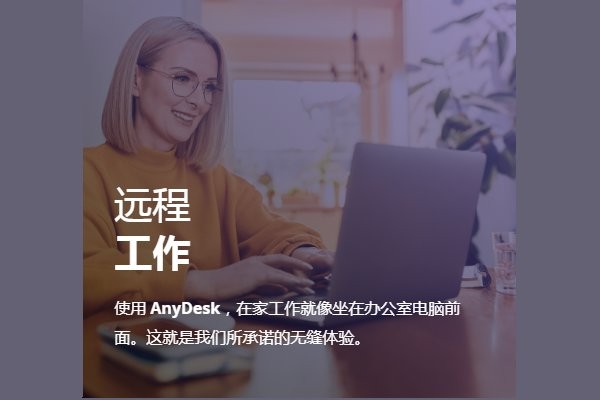anydesk远程软件截图1
