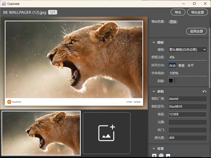 copicseal电脑版图片水印工具截图2
