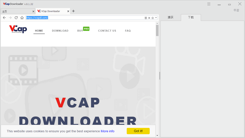 vcap downloader电脑版截图4