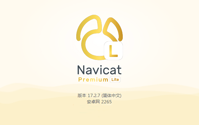 Navicat Premium Lite 17中文版截图1
