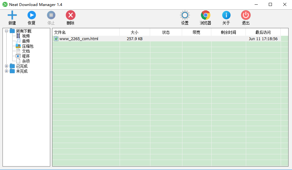 Neat Download Manager中文版截图1