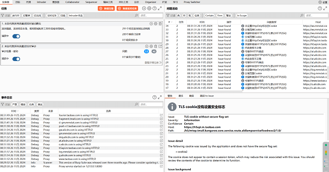 burpsuite pro2025年破解版截图1