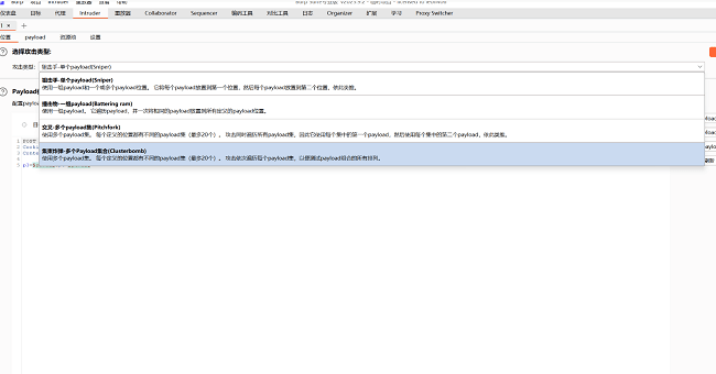 burpsuite pro2025年破解版截图2