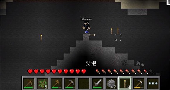 我的世界2d汉化版截图1