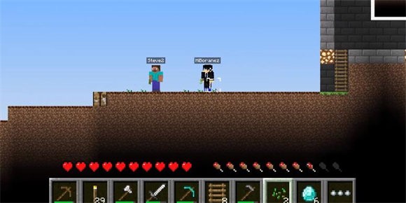 我的世界2d汉化版截图2