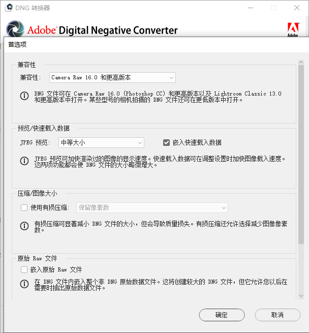 Adobe dng converter截图2
