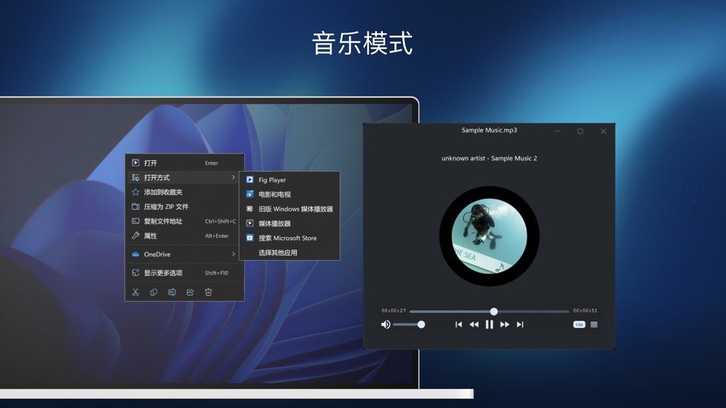 Fig Player播放器截图1