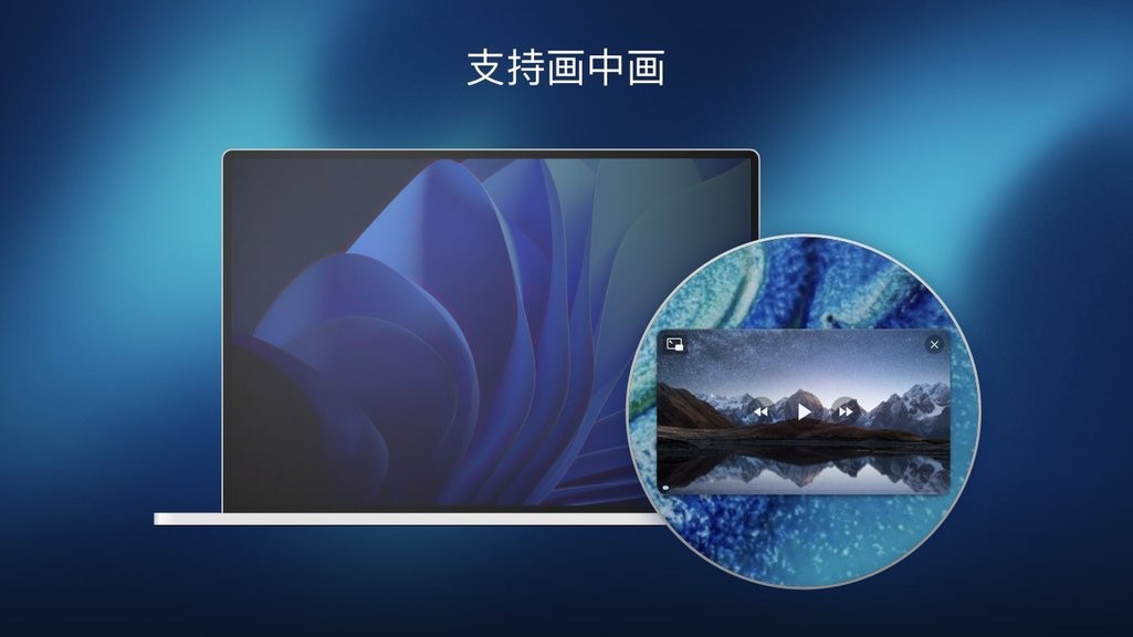 Fig Player播放器截图2