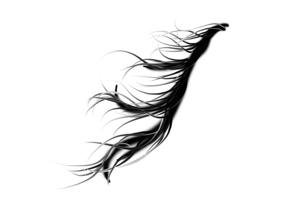 ps毛发笔刷素材免费版截图2