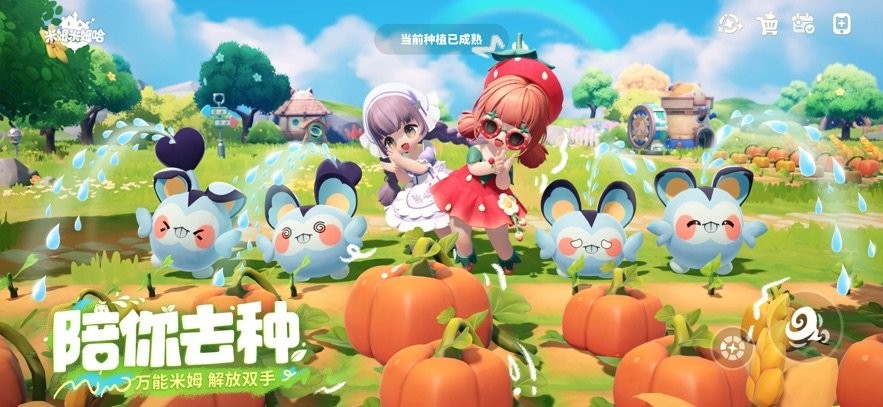 米姆米姆哈pc版截图3