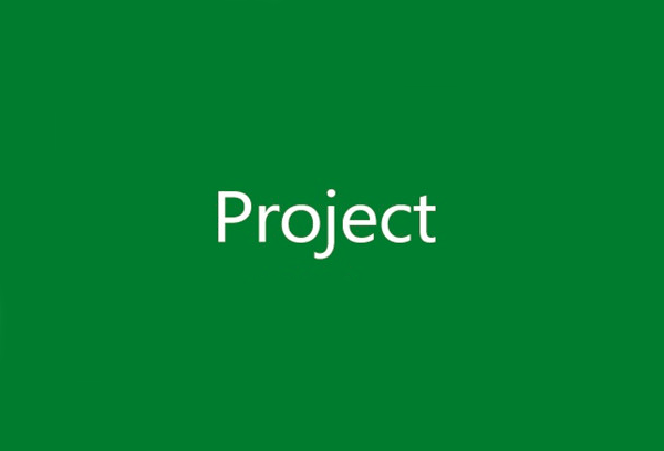 microsoft project 2021专业版截图1