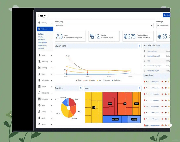 Invicti扫描器破解版(Netsparker)截图1