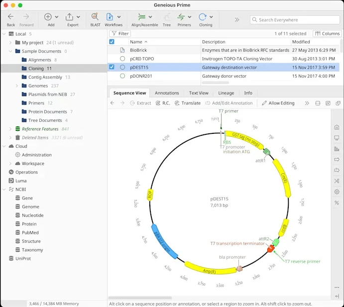 geneious prime(分子生物学与序列分析工具)截图1