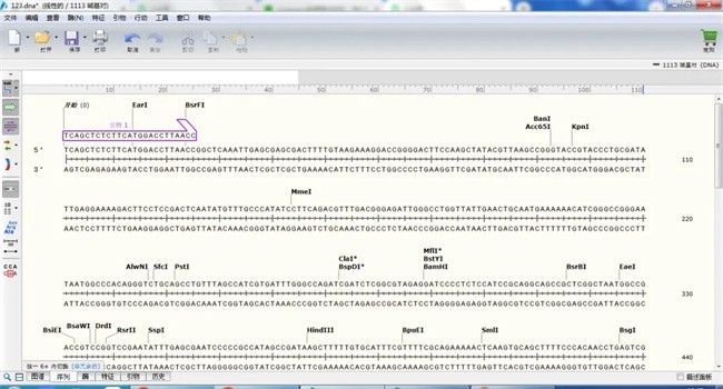 snapgene简单版中文版截图4