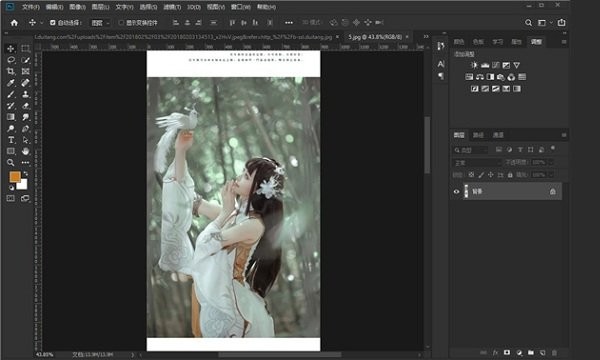 ps2019破解版电脑版截图3