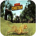 非洲猎豹：生存模拟v1.9
