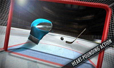 曲棍球决战修改版v1.10.11截图1