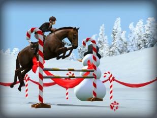 我的马v1.25截图4