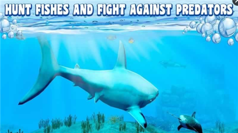 深海鱼模拟3Dv1.6截图2