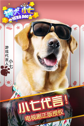 神犬小七v1.3.6截图1