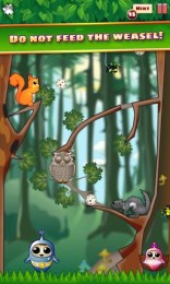 拯救鸟类v1.4.6截图4