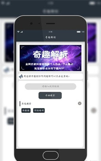奇趣解析v2.11截图4