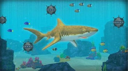 鲨鱼攻击破解版v1.8截图3