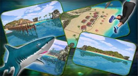 鲨鱼攻击破解版v1.8截图4