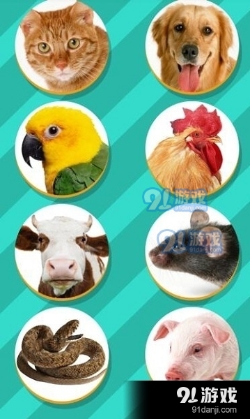 鸟语翻译器手机版v1.8截图1