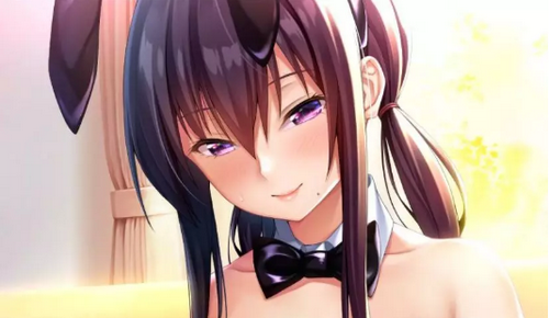 请停手吧姐姐大人v1.5截图2