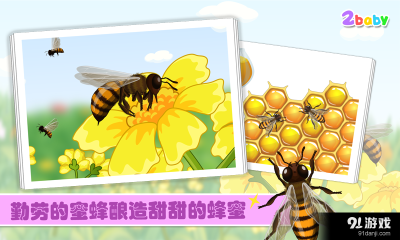 宝贝识蜜蜂v1.8截图1