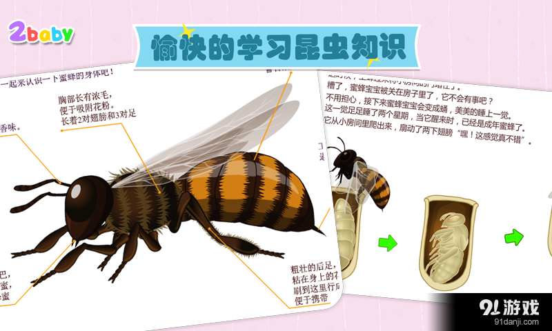 宝贝识蜜蜂v1.8截图4