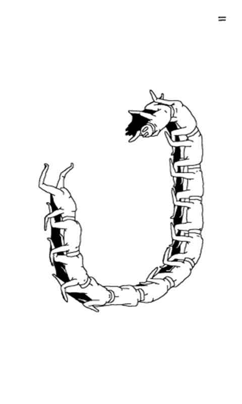 随插随用v5.13截图1