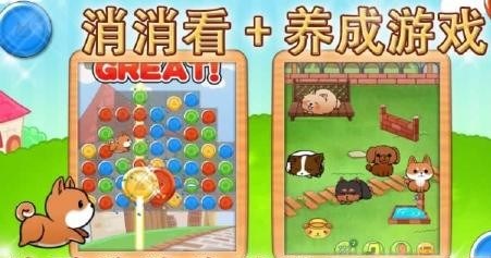 狗狗生活v1.9.11截图1