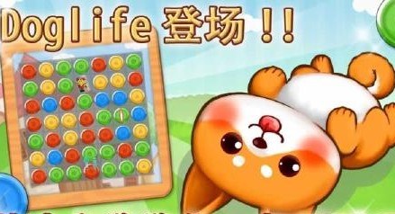 狗狗生活v1.9.11截图2