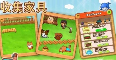 狗狗生活v1.9.11截图4