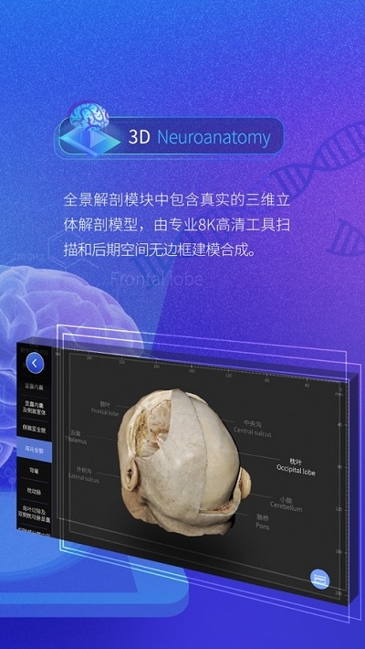 脑外科XRv1.3.9截图2