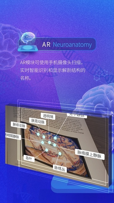 脑外科XRv1.3.9截图1