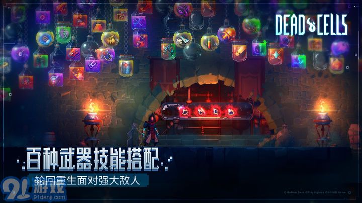 重生细胞网页版v3.3.5截图4