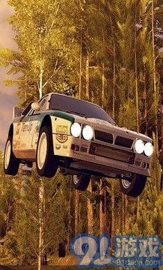 CarX拉力赛v14025鐎瑰宕渧1.6截图1