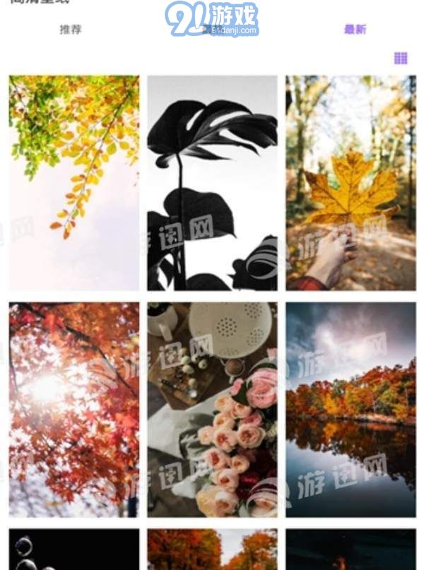 36壁纸v1.85截图3