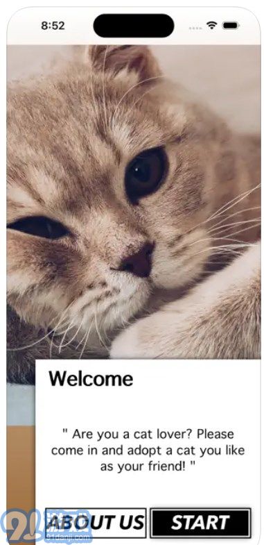 爱猫物语宠物店软件v1.0.3截图3