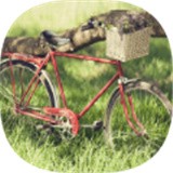 3D自行车越野模拟器v1.6