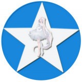 空间评赞精灵v2.30