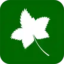 爬山虎灵活用工v2.1.12