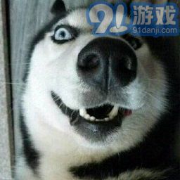 烧屏坏点检测v1.38