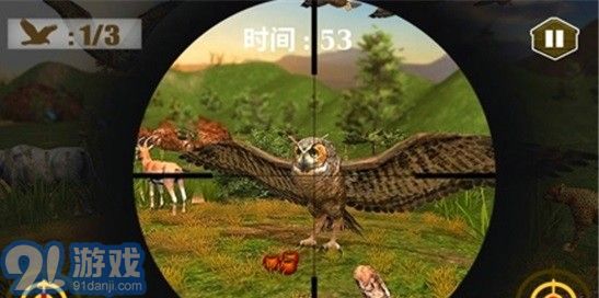 3D猫头鹰狩猎模拟v1.10截图3